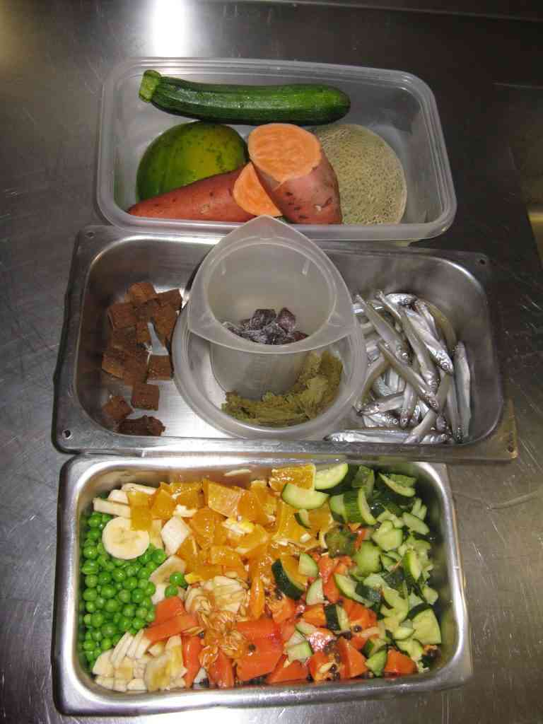 One example of food prepared for the Vancouver Aquarium's tropical freshwater fish collection.